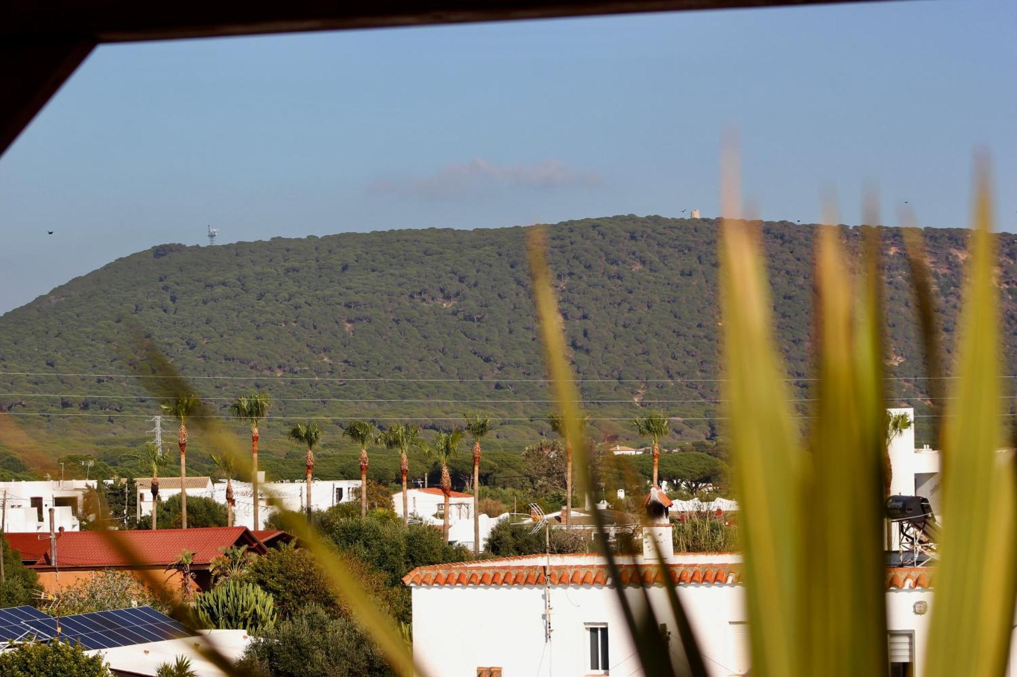 מלון סהורה Vista Al Faro מראה חיצוני תמונה